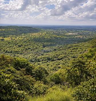 12,000-acre Anantagiri Forest