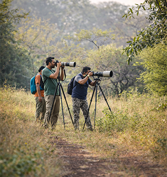 Forest Bathing & Bird Watching
